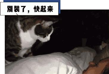 私人医院都有什么服务,正经医院