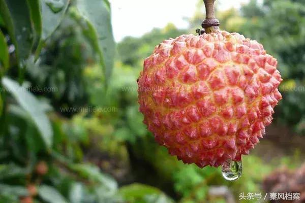 「档案故事」关于清宫剧中的那些误会