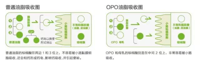 a2奶粉有opo吗,a2β酪蛋白奶粉