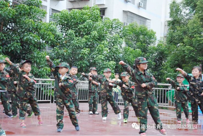 南充青苹果国际幼儿园收费,南充市嘉陵江南国际苹果幼稚园