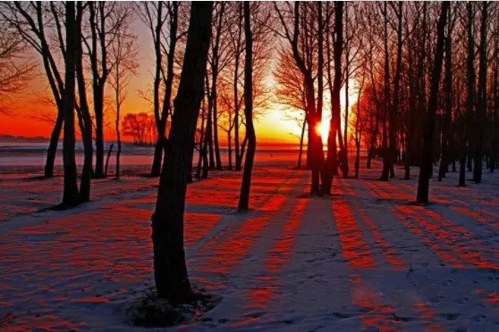 乌兰察布属于什么类型的城市,乌兰察布是什么地貌