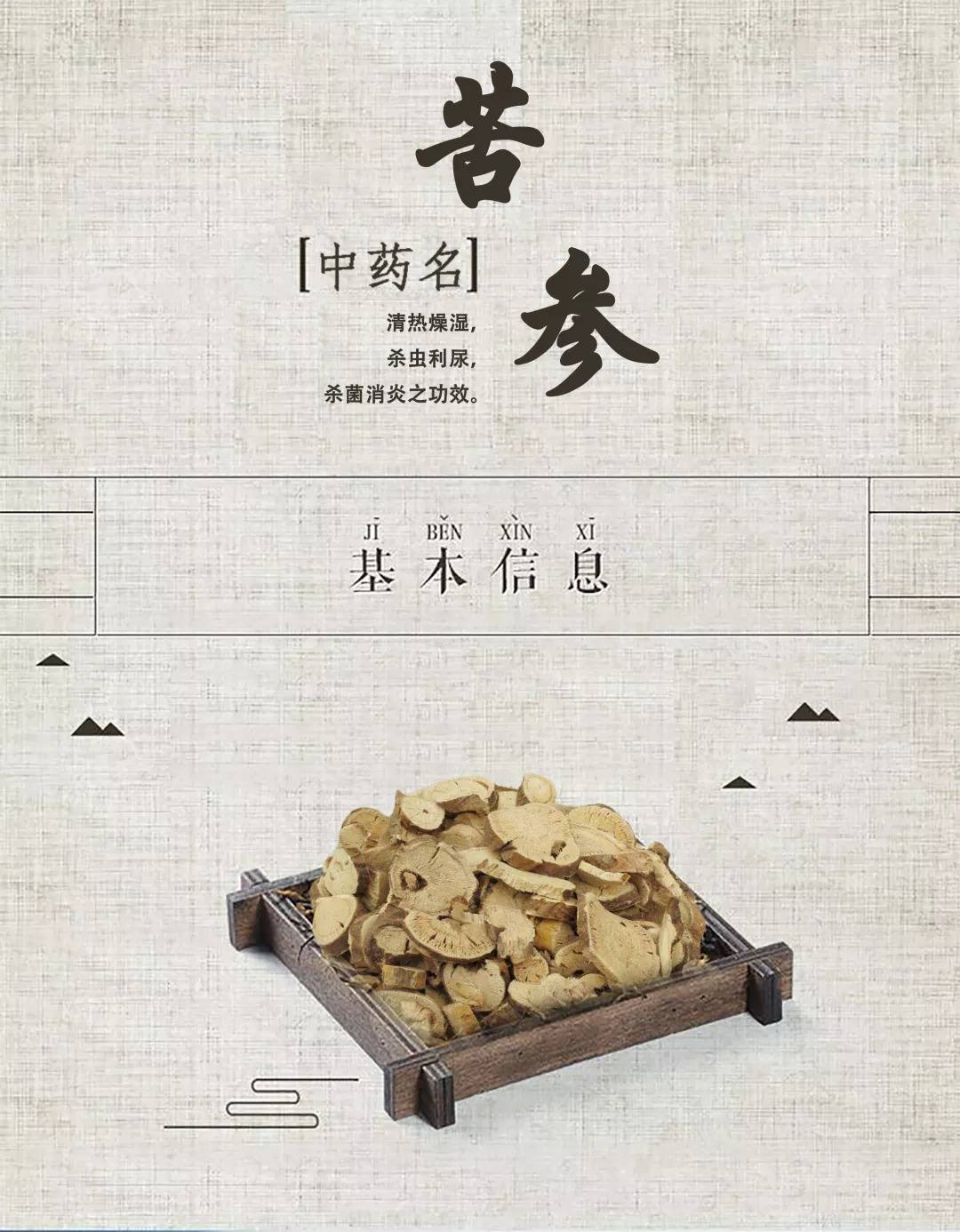 「百草园」那些“悬壶济世”的植物（七十三）苦参