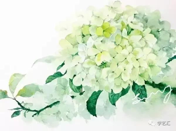 水彩颜料入门玄关,入门水彩颜料怎么选