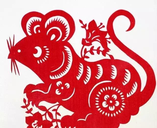 生肖鼠寅午戌三合,生肖鼠的婚姻命运