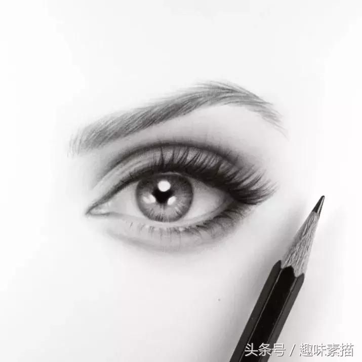 从画渣逆袭到大神的全过程,画渣画画是真的不好