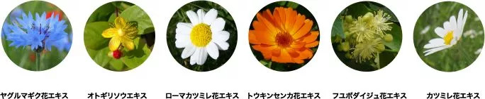 日本清洁牙齿最好的牙膏,一款能解决你口腔问题的好牙膏