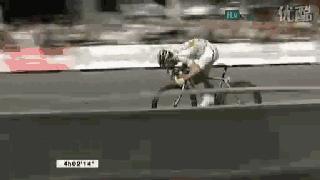 既便宜又好的入门公路车推荐,开学季小车车推荐