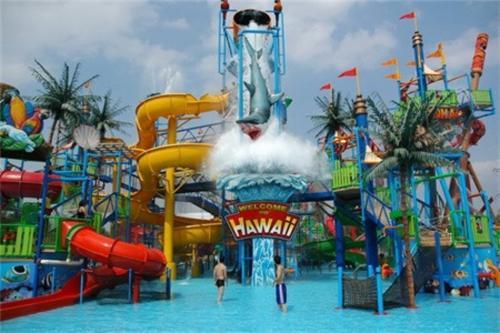 婆婆生日暗示我妯娌给她买了耳环,婆婆生日我拿一个红包给她