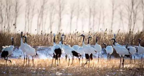 盐城以后有可能成为二线城市吗,盐城有望成为二线城市吗