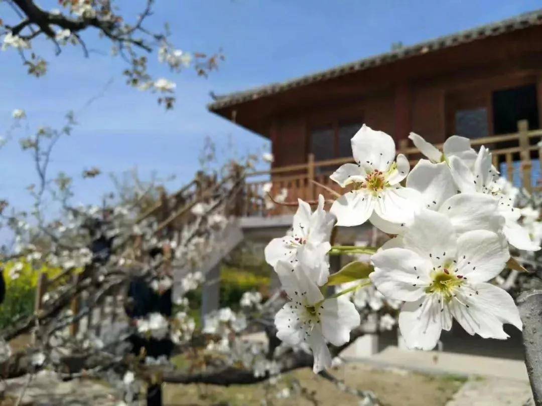 盐城以后有可能成为二线城市吗,盐城有望成为二线城市吗