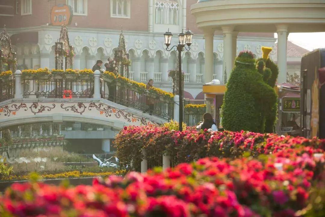 盐城以后有可能成为二线城市吗,盐城有望成为二线城市吗