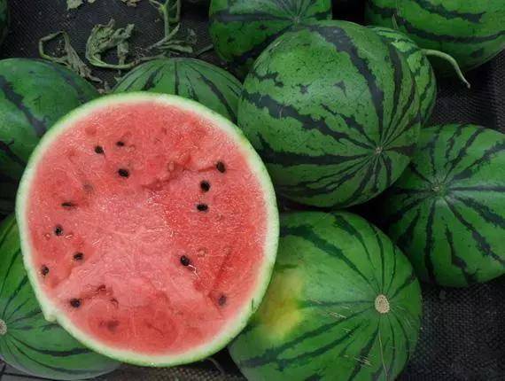 盐城以后有可能成为二线城市吗,盐城有望成为二线城市吗