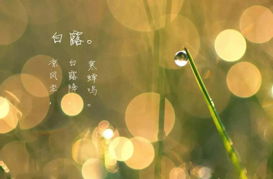 立秋了这些养生小常识学起来,一场秋雨一场寒入秋养生注意啥