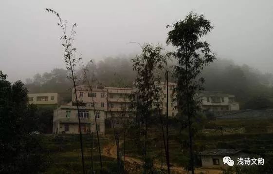 一路向东青岛之行,一路向北去山东日照