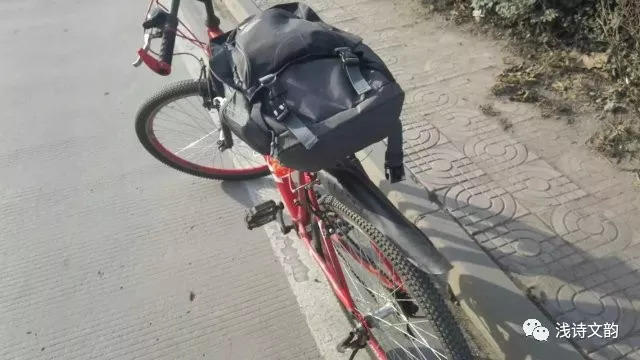 一路向东青岛之行,一路向北去山东日照