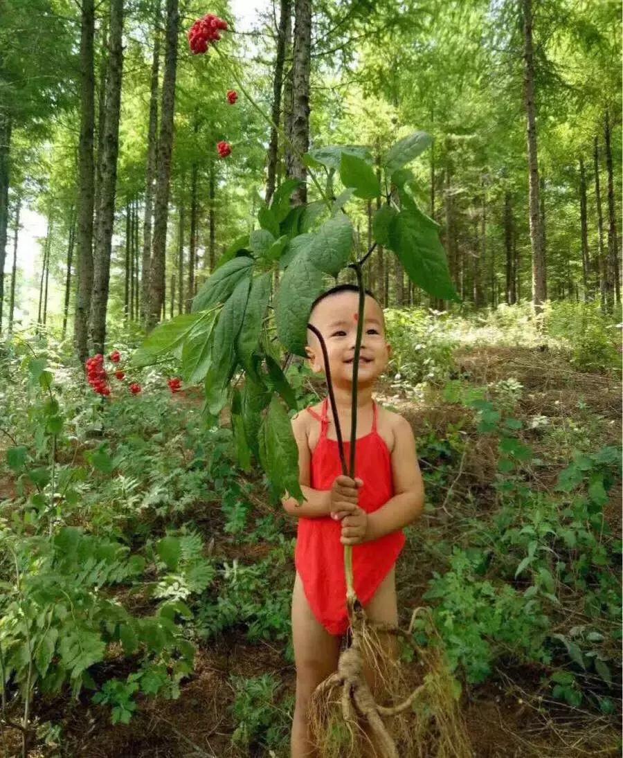 柳河旅游节在哪里,柳河县旅游节