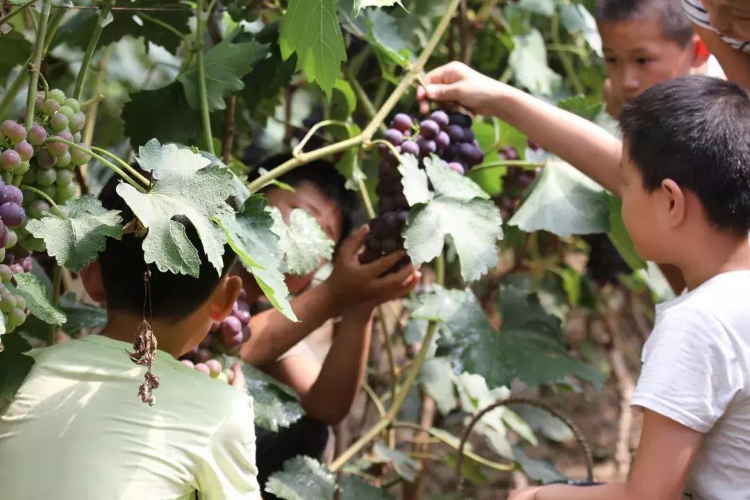柳河旅游节在哪里,柳河县旅游节