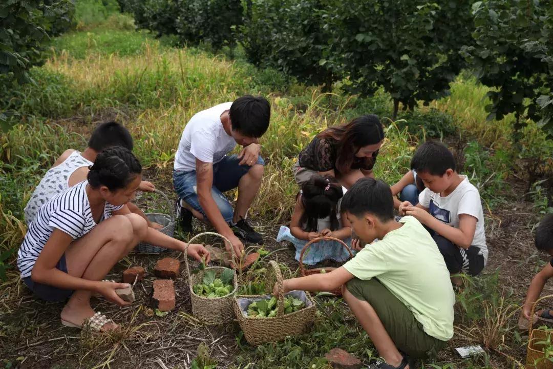 柳河旅游节在哪里,柳河县旅游节