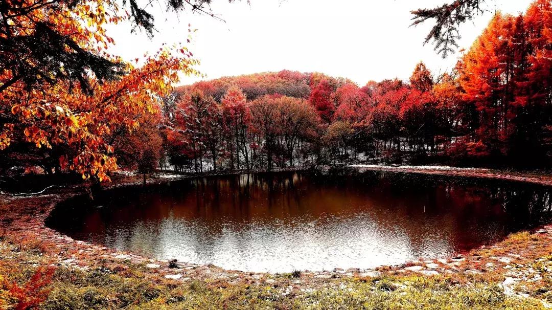 柳河旅游节在哪里,柳河县旅游节