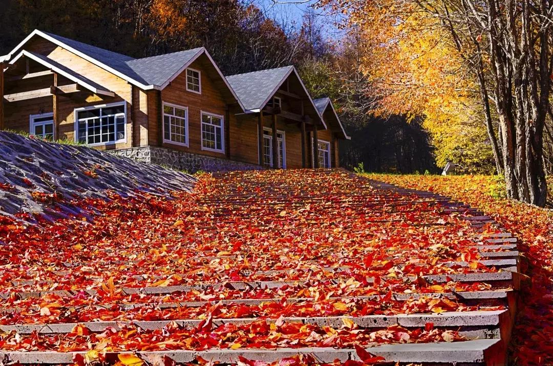 柳河旅游节在哪里,柳河县旅游节