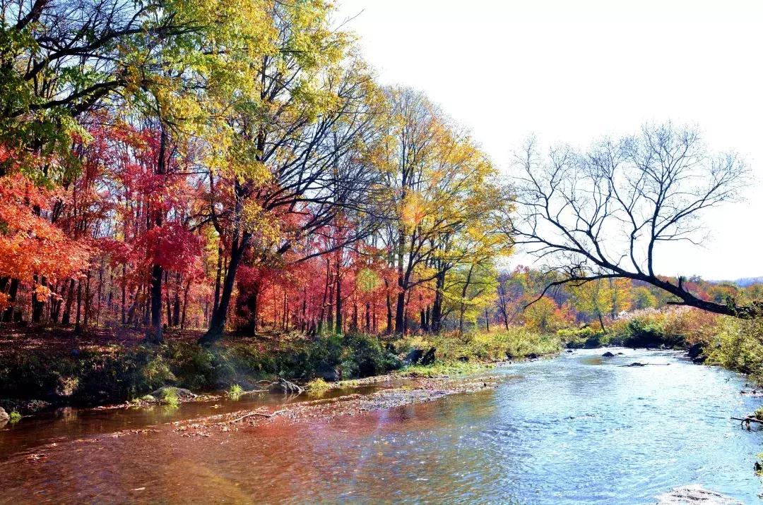 柳河旅游节在哪里,柳河县旅游节