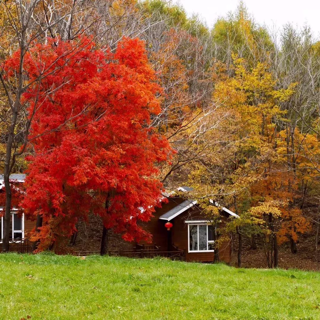 柳河旅游节在哪里,柳河县旅游节
