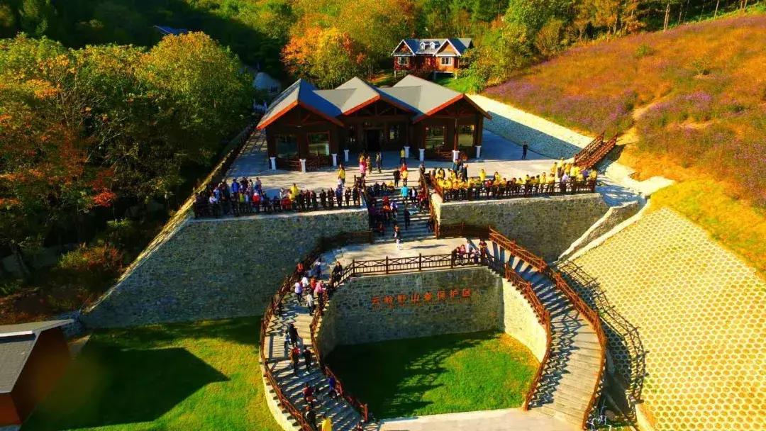 柳河旅游节在哪里,柳河县旅游节