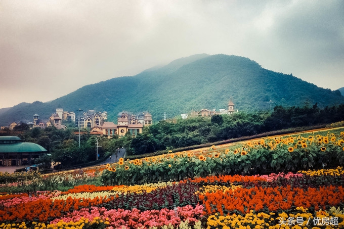 大湾区华侨城欢乐港湾,2020国庆黄金周热门旅游目的地