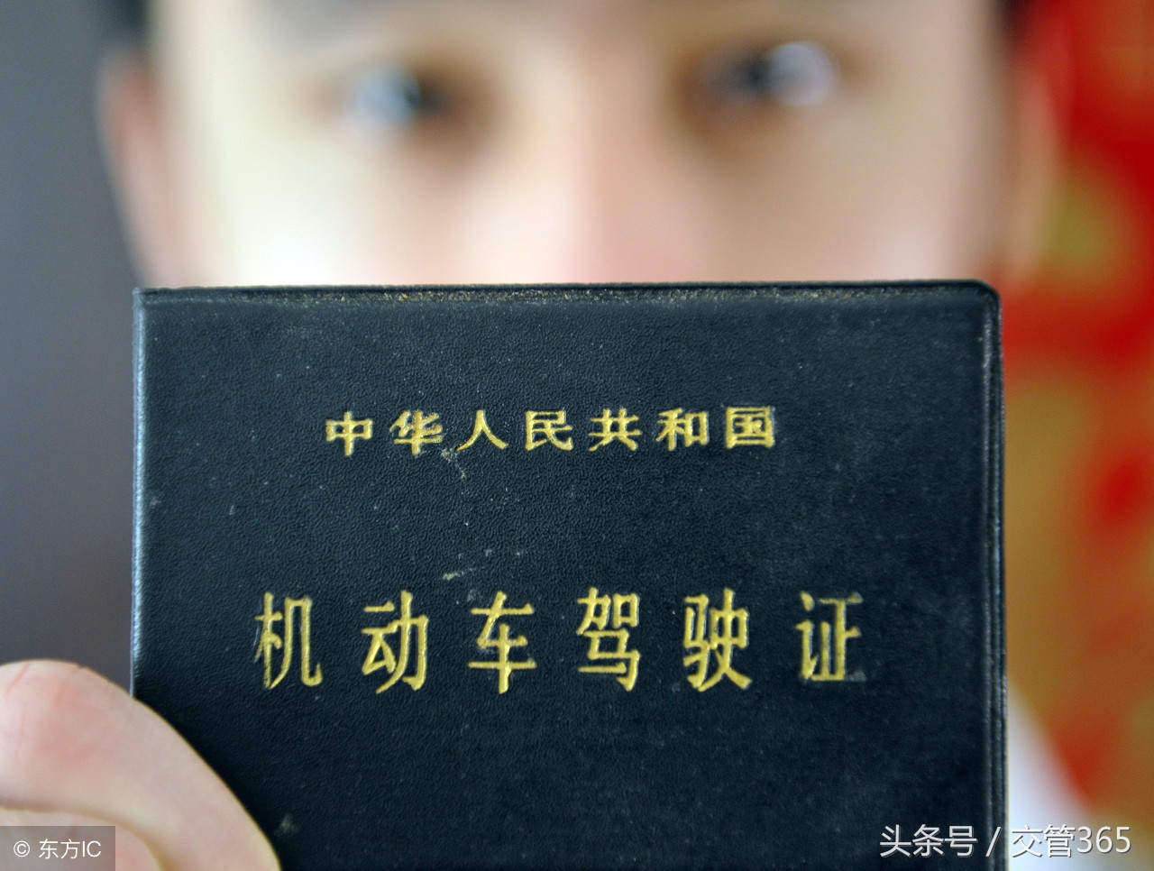 驾驶证是假的查到如何不被罚,真驾驶证和假的区别在哪