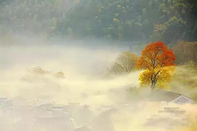 红日厨卫广昌店,红日厨卫探店