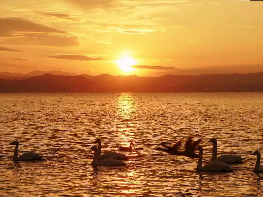 红日厨卫广昌店,红日厨卫探店