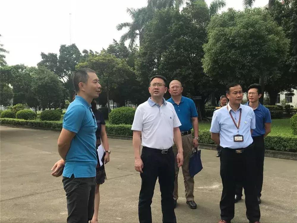 顺德教育在佛山的排名,容桂教育