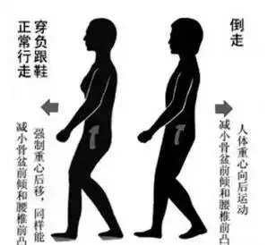21世纪最健康的食品,全球公认十大最佳保健品