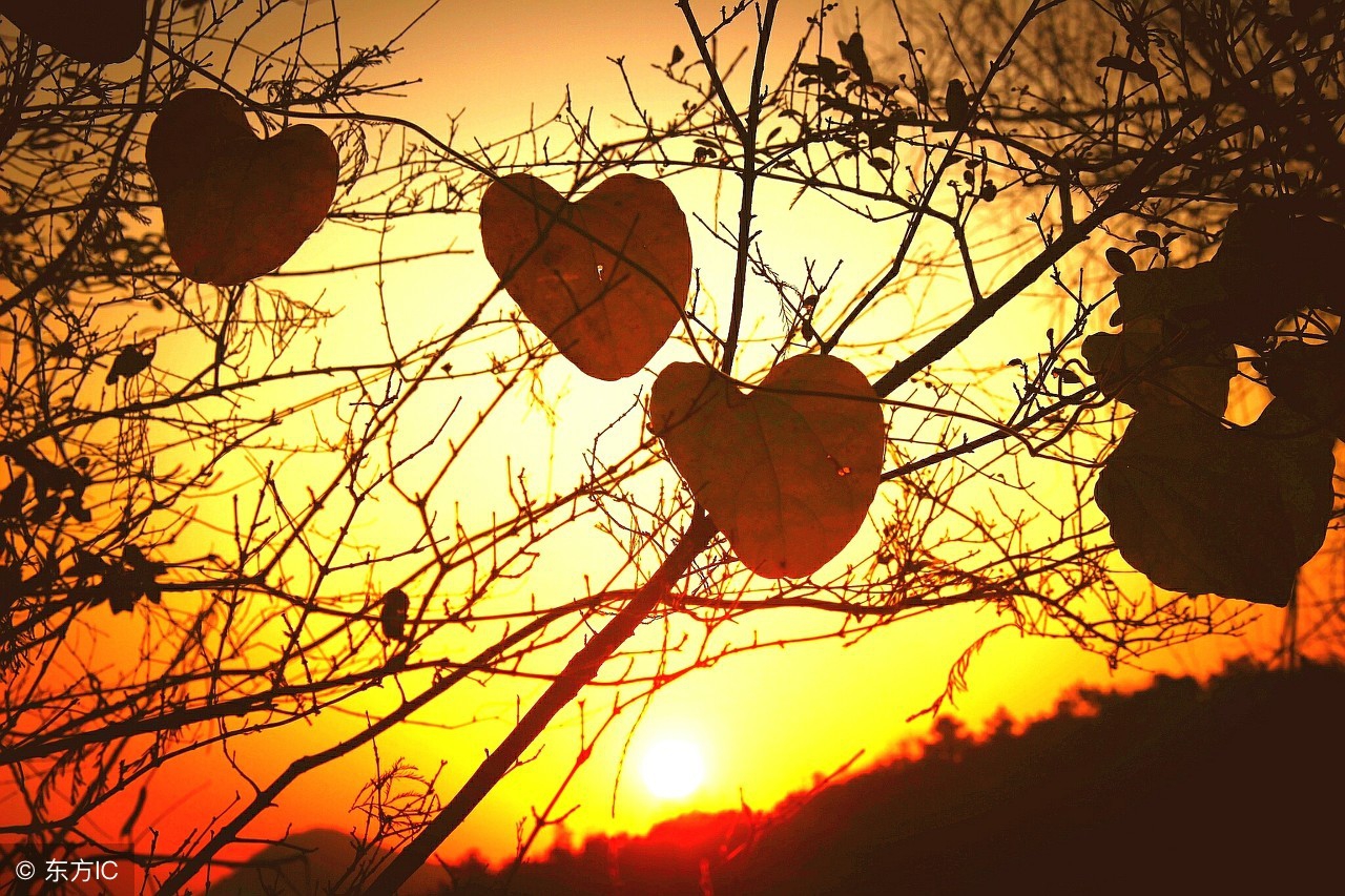 娴佹穼鍦ㄥ績涓殑鐖辨渤,鏃犳儏鐨勬矙婕犳祦娣岀殑鐖辨渤