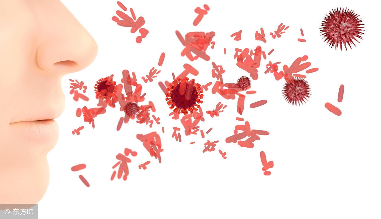 一片叶子搞定螨虫,床上的螨虫能彻底清除吗