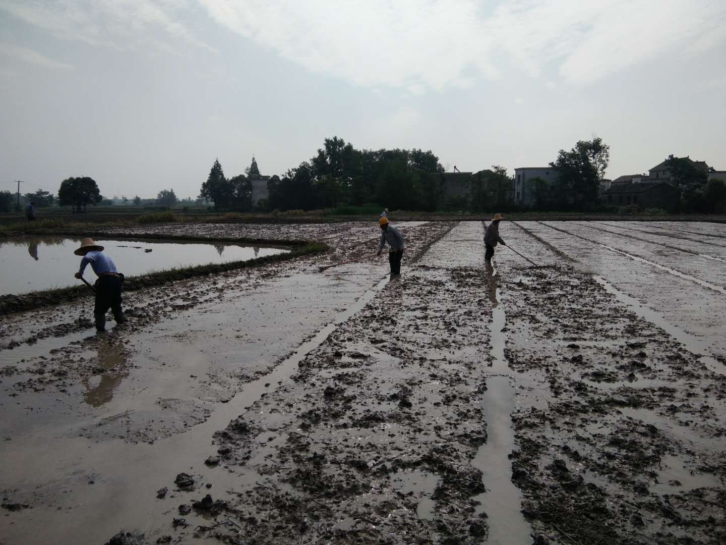 90后大学生返乡种地记录生活点滴 (90后大学生返乡种地)
