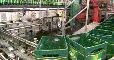 涨知识葡萄酒是怎样酿成的,啤酒怎么生产出来的