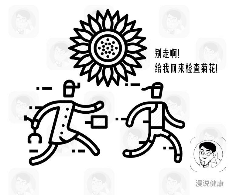 菊花治疗癌症有效的例子,菊花会引起癌症吗