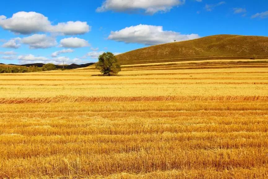 不知时光,时光在深秋停留