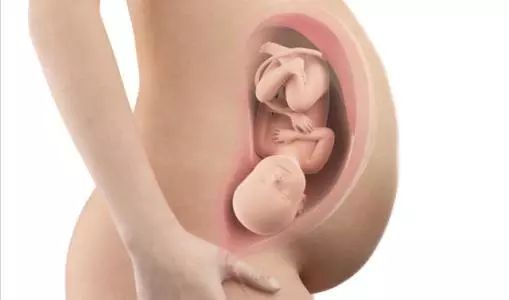 胖的容易怀孕还是瘦的容易怀孕,什么时间段容易怀孕几率大