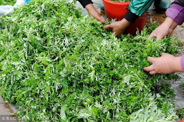 后背螨虫最佳去除方法,后背长螨虫解决方法