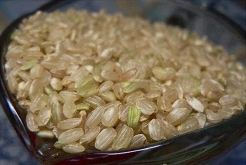 大米酿酱香固态酿酒技术,小型酿酒纯粮酒发酵技术指导