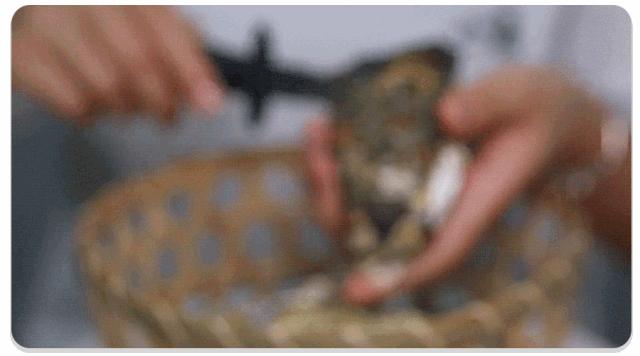 深圳竹篮蒸生蚝,深圳新安秦师傅竹篮蒸生蚝