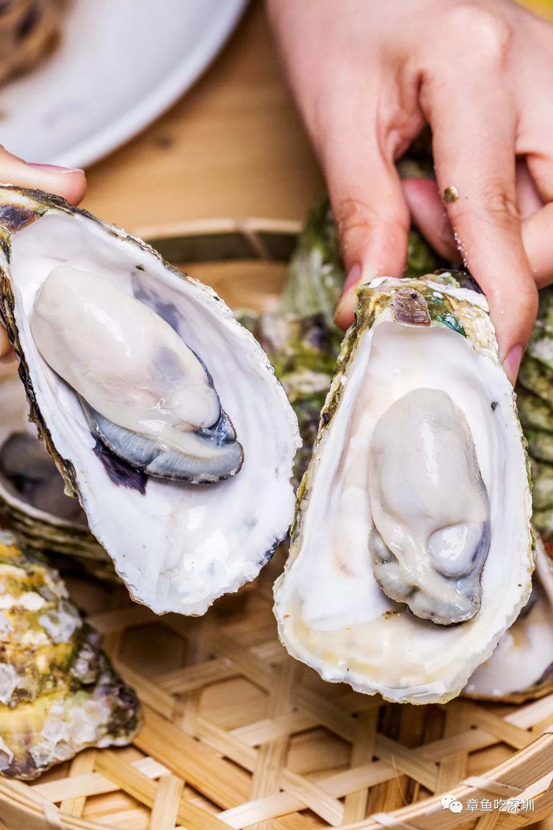 深圳竹篮蒸生蚝,深圳新安秦师傅竹篮蒸生蚝