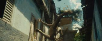 9岁擦皮鞋，20岁身价近1亿欧元，你一定听过他的名字！