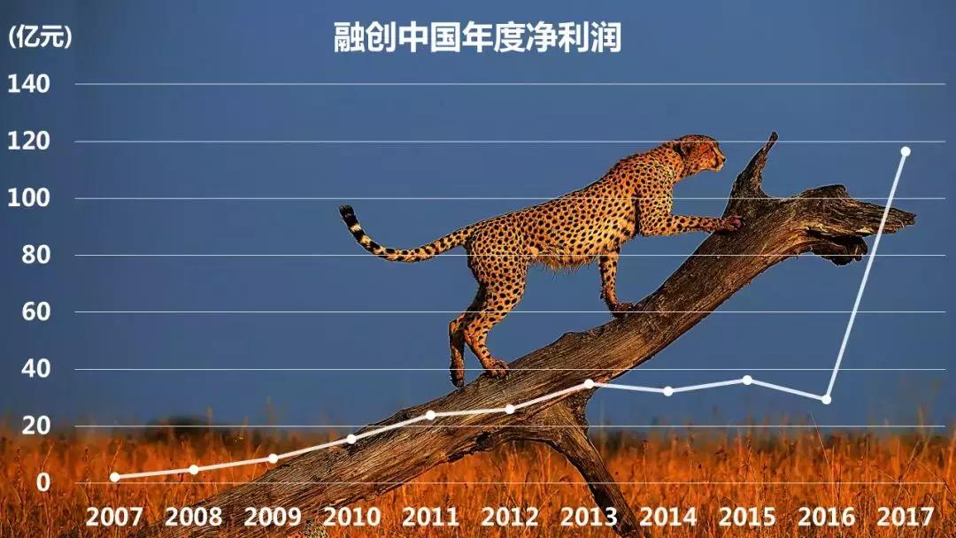 凶猛的哈士奇狗,最大的融创