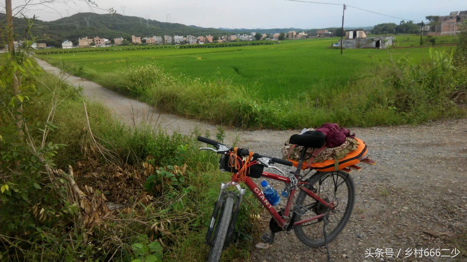 平凡之路赏析,平凡之路赏析及感悟