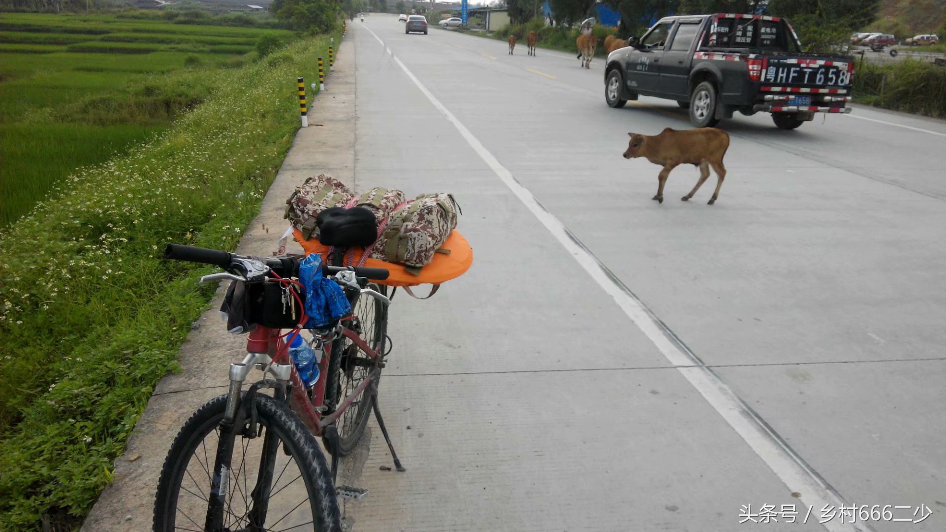 平凡之路赏析,平凡之路赏析及感悟