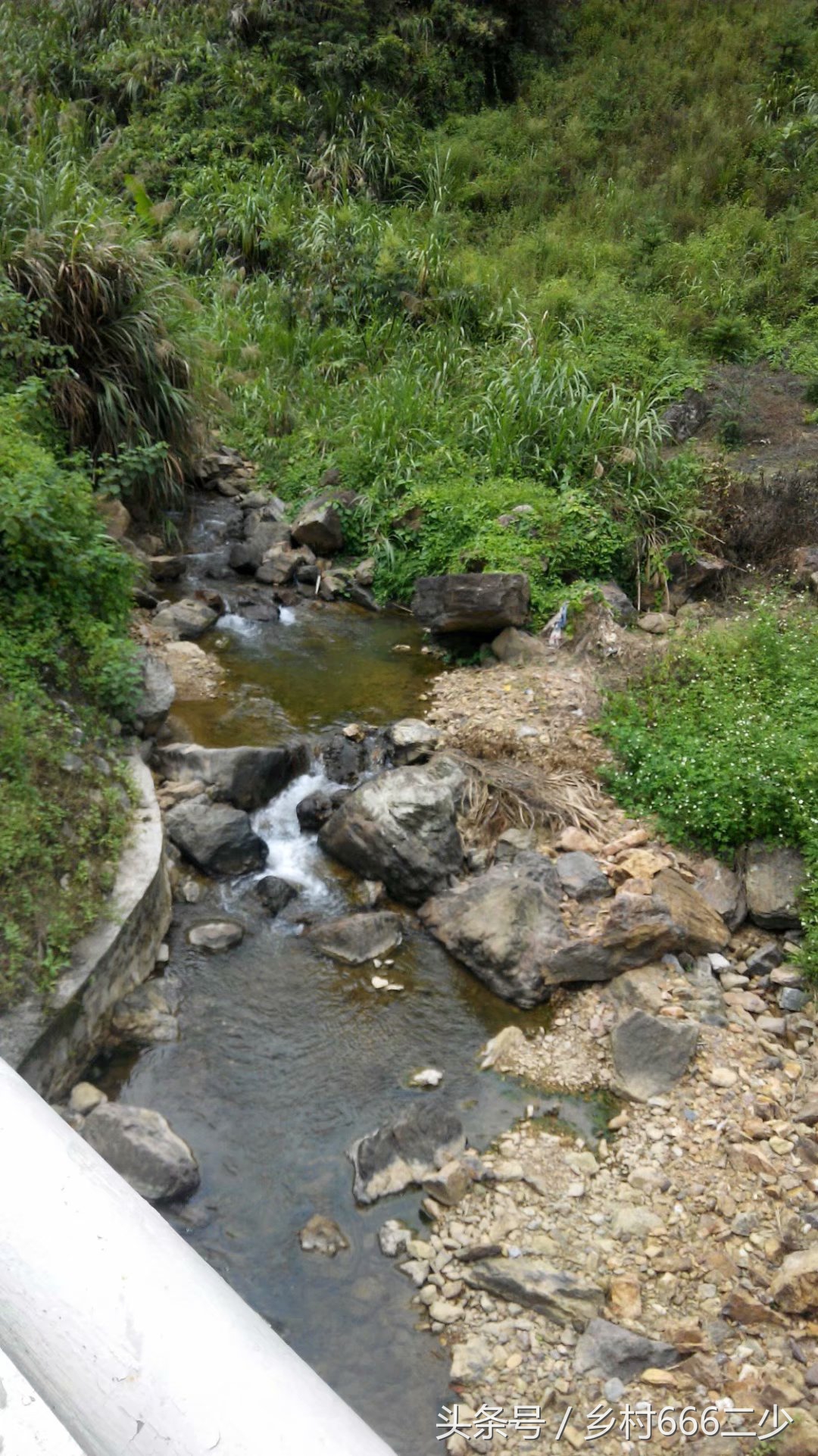 平凡之路赏析,平凡之路赏析及感悟