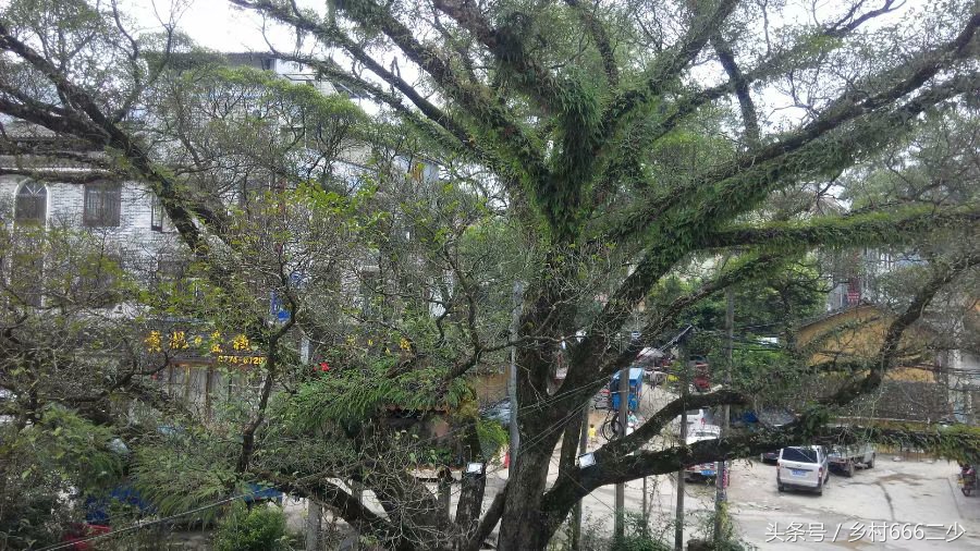 平凡之路赏析,平凡之路赏析及感悟